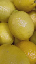Load and play video in Gallery viewer, Wild Fermented Lemonade with Kombu (Concentrate)